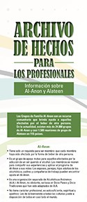 Archivo de hechos para profesionales